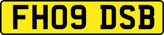 FH09DSB