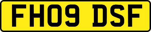 FH09DSF