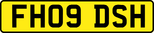 FH09DSH
