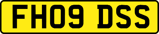 FH09DSS
