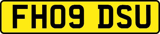 FH09DSU