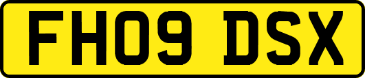 FH09DSX