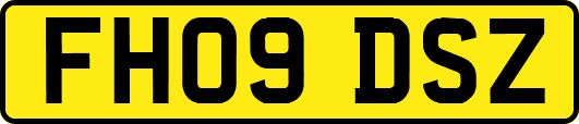 FH09DSZ
