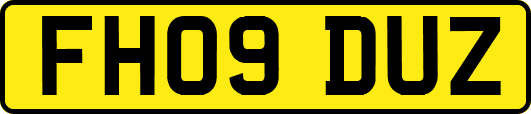 FH09DUZ
