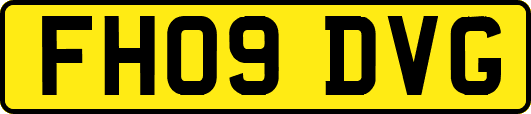 FH09DVG