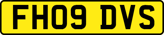 FH09DVS