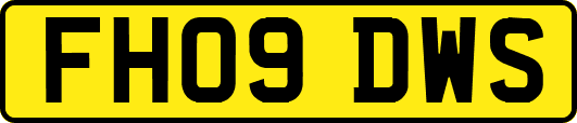 FH09DWS
