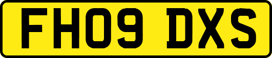 FH09DXS