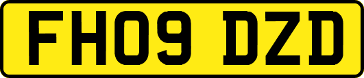 FH09DZD