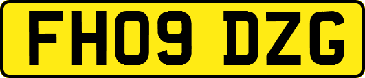 FH09DZG