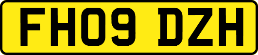 FH09DZH