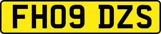 FH09DZS