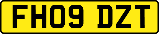FH09DZT