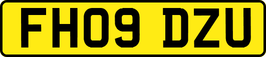 FH09DZU