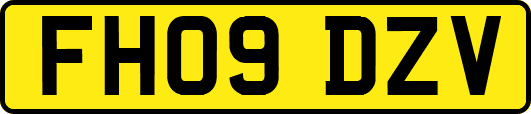 FH09DZV