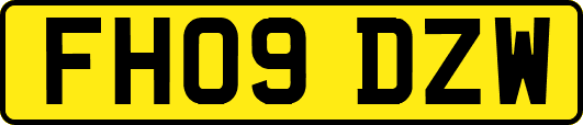 FH09DZW