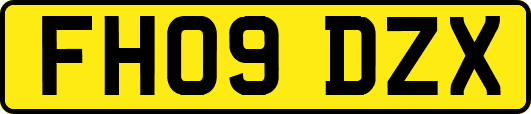 FH09DZX