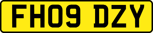 FH09DZY