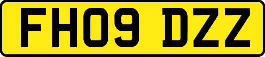 FH09DZZ