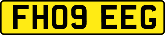 FH09EEG