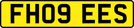 FH09EES