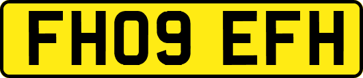 FH09EFH