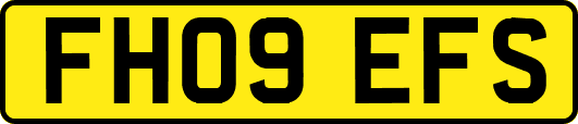 FH09EFS