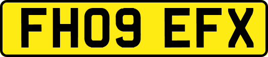 FH09EFX