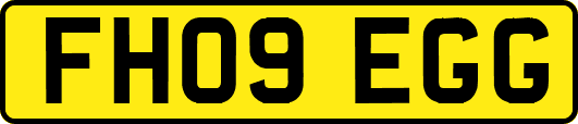 FH09EGG
