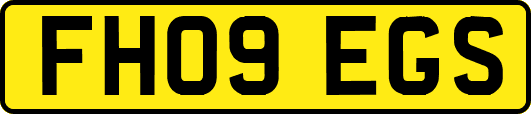 FH09EGS
