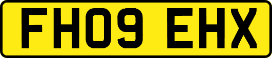 FH09EHX