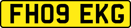 FH09EKG