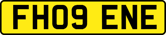 FH09ENE