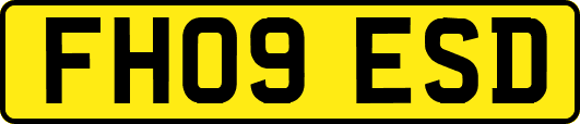 FH09ESD