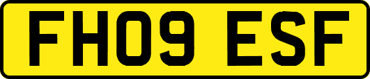 FH09ESF
