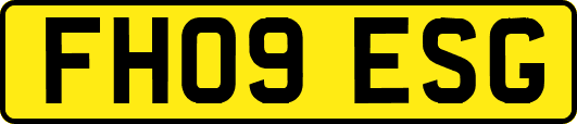 FH09ESG