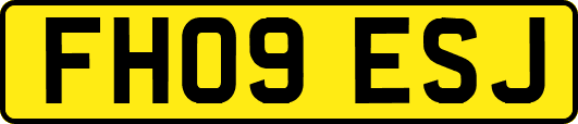 FH09ESJ