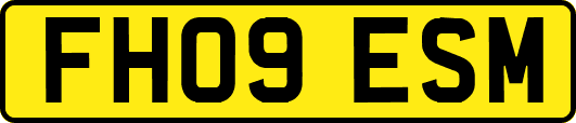 FH09ESM