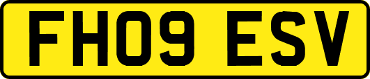 FH09ESV