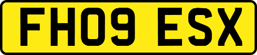 FH09ESX