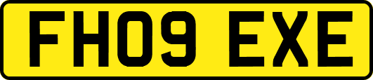 FH09EXE