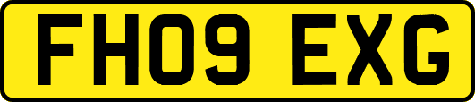 FH09EXG