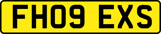 FH09EXS