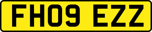 FH09EZZ