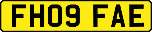FH09FAE
