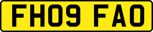 FH09FAO