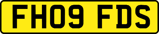 FH09FDS