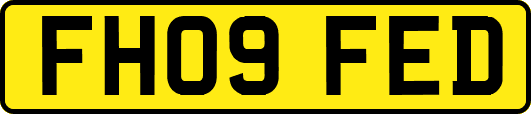 FH09FED