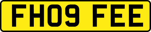 FH09FEE