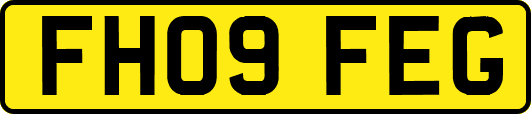 FH09FEG